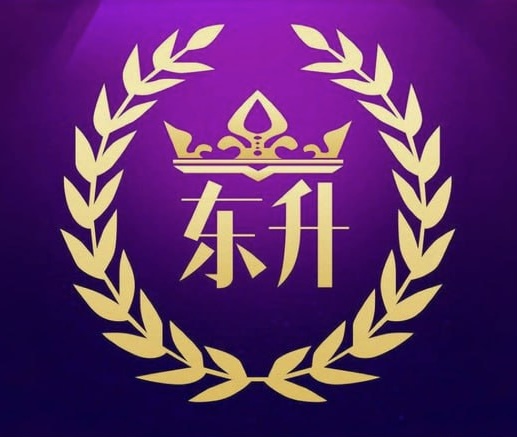 东升国际